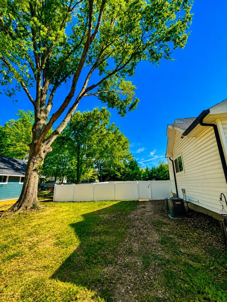 Sunny residential backyard with white vinyl fence, large shade tree, green grass, and house with beige siding under clear blue sky