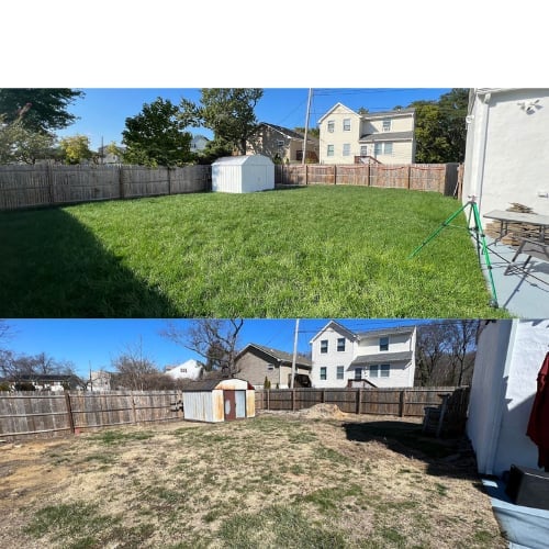 Topsoil & Seeding