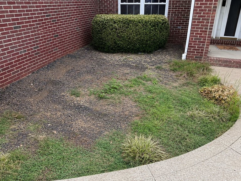 Rock & Stone before