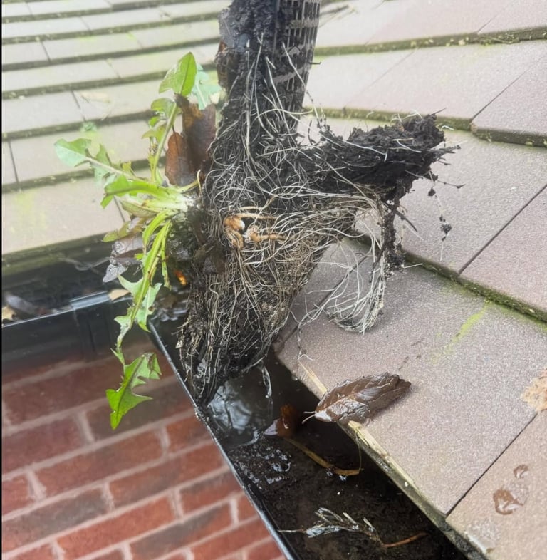 Gutter Cleaning & Clearance