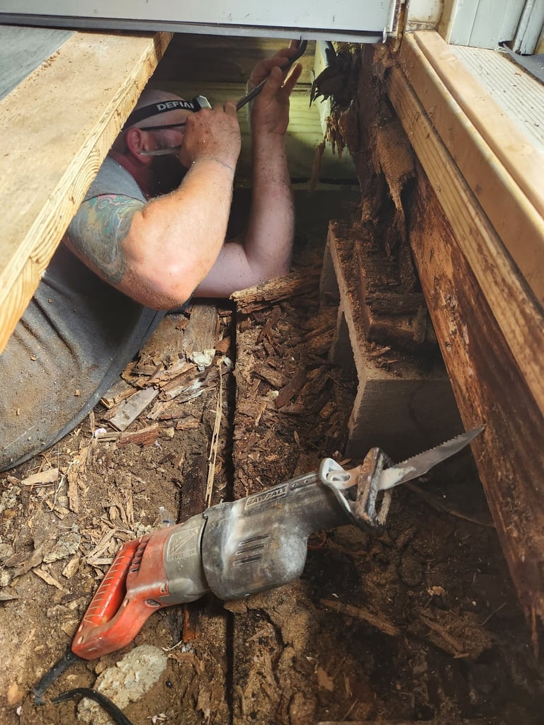 Worker inspecting wooden house foundation damaged by termites and rot, using tools to assess structural damage underground