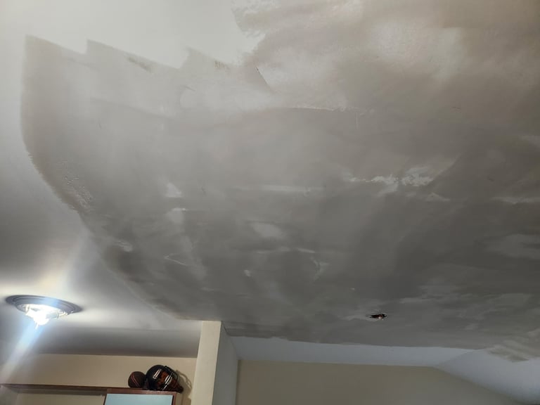 Ceiling & Drywall Repair before