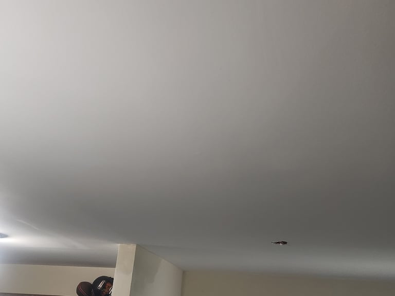 Ceiling & Drywall Repair after