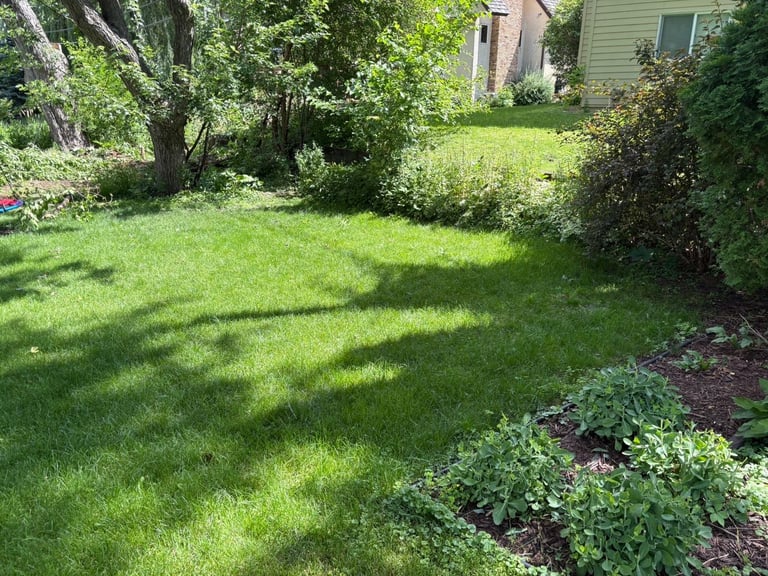 Sunny residential backyard with lush green lawn, mature trees, shrubs, and a brick house visible in the background — before renovation