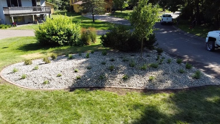 Residential lawn with landscaped gravel bed, green shrubs, and trees, adjacent to a driveway with parked cars