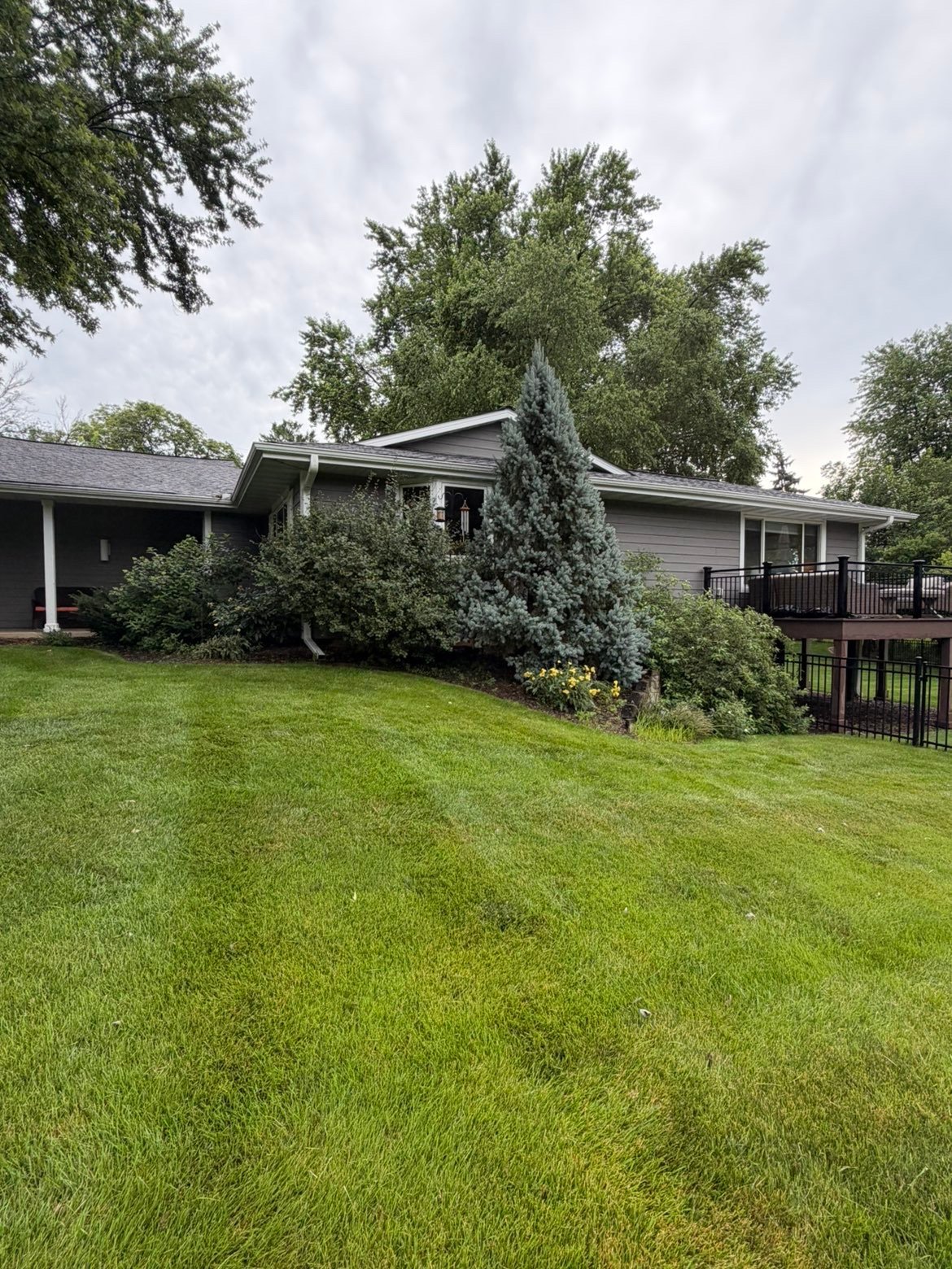 Single-story house with gray exterior, surrounded by lush green lawn and ivy-covered trees on cloudy day — before side bed renovation