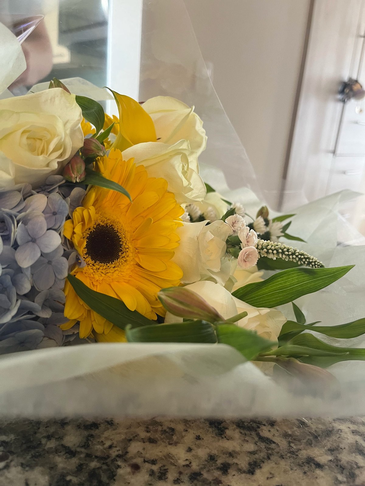 Bouquet of yellow gerbera daisies, cream roses, and small white flowers in cellophane wrapping on a granite countertop