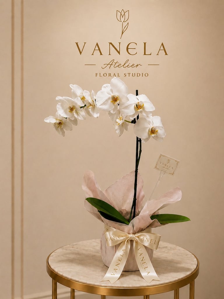Orquídea sencilla
