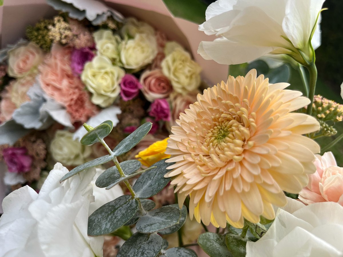 Peach gerbera daisy with greenery and eucalyptus in foreground, blurred bouquet of roses and carnations in background
