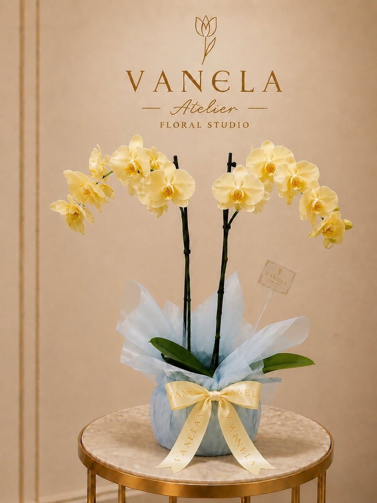 Orquídea doble tallo