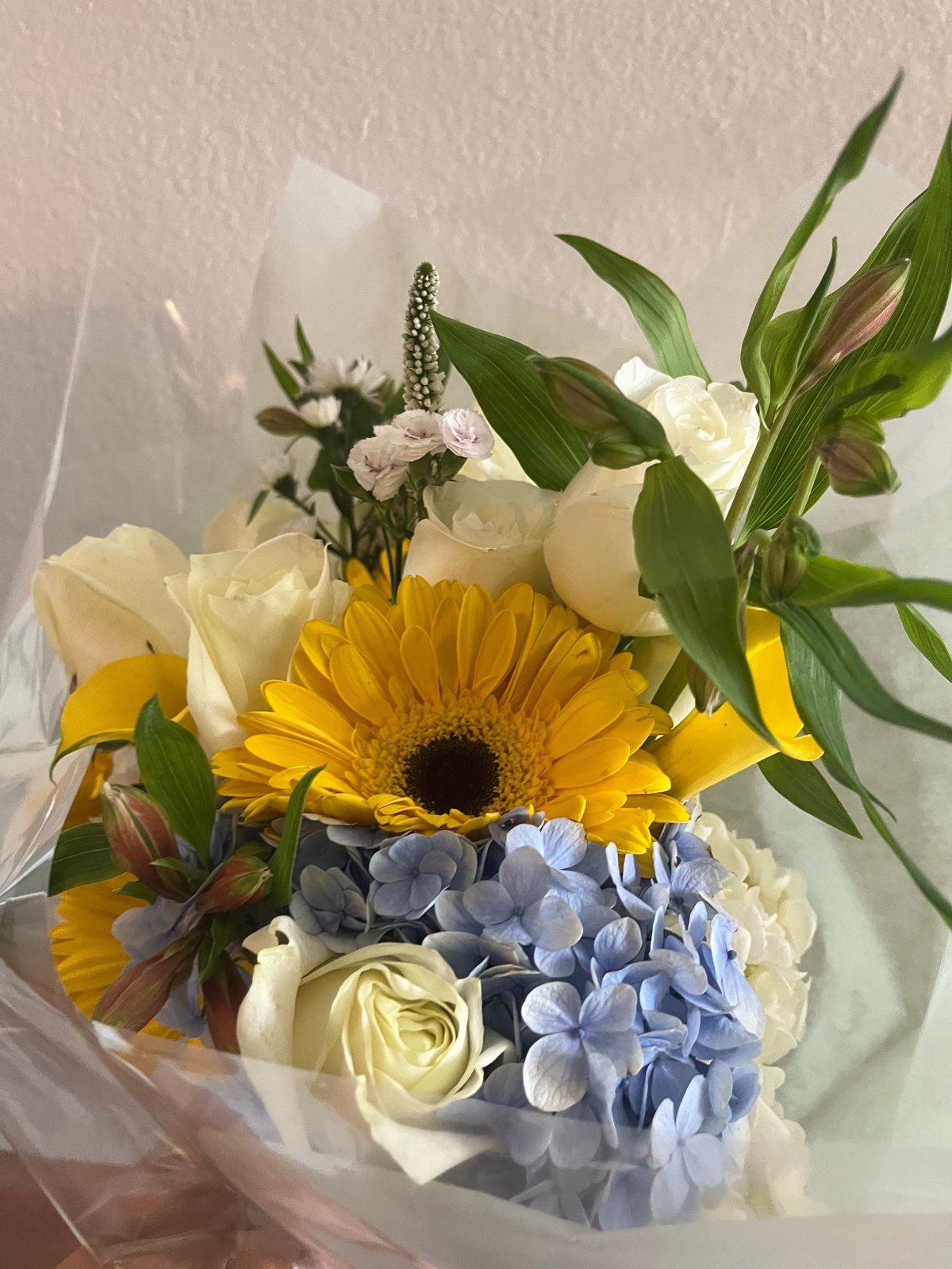 Mixed flower bouquet with yellow gerbera daisies, white roses, blue hydrangeas, and green foliage wrapped in cellophane