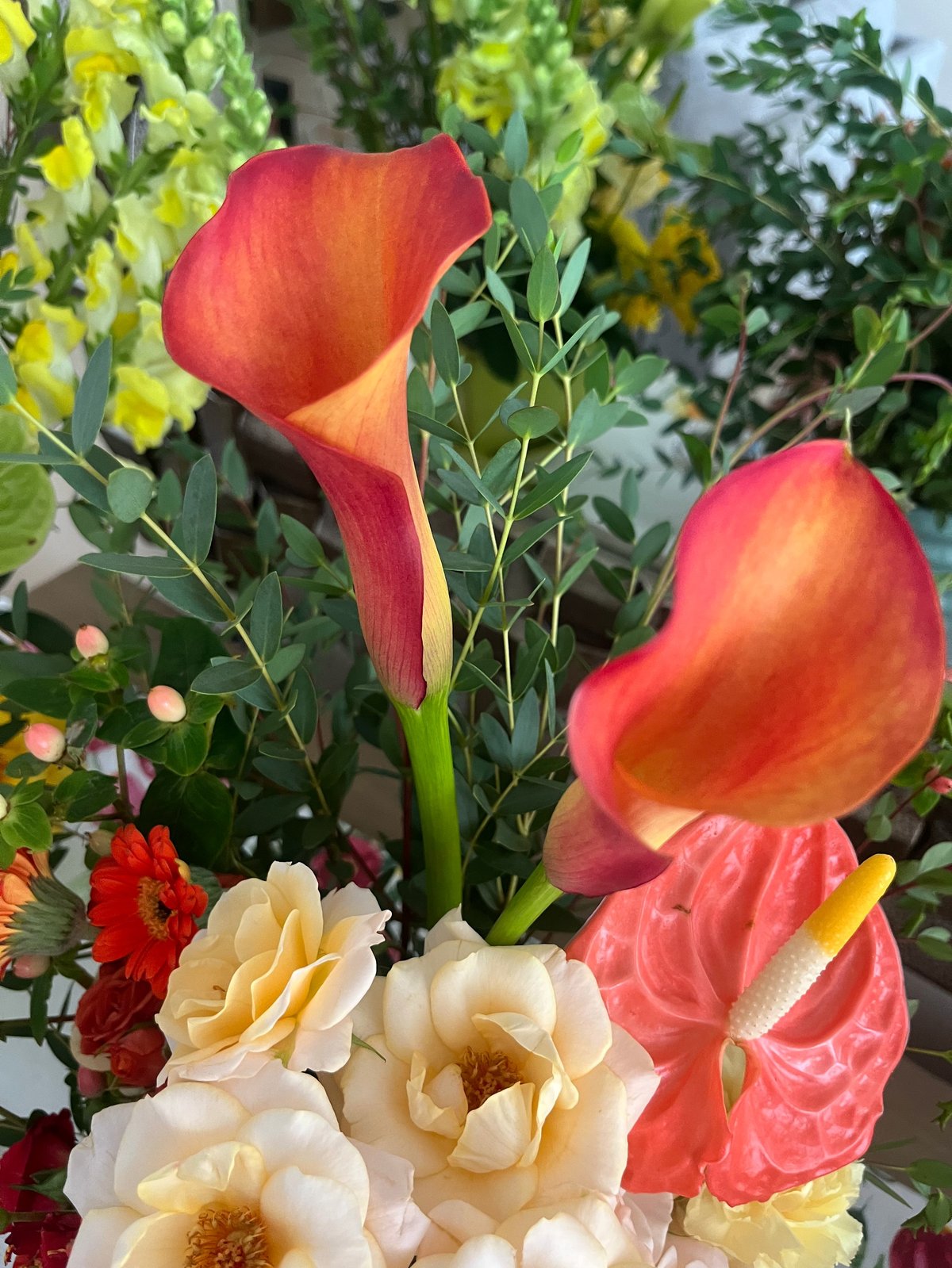 Red and orange calla lilies with cream roses and yellow flowers in a garden bouquet arrangement