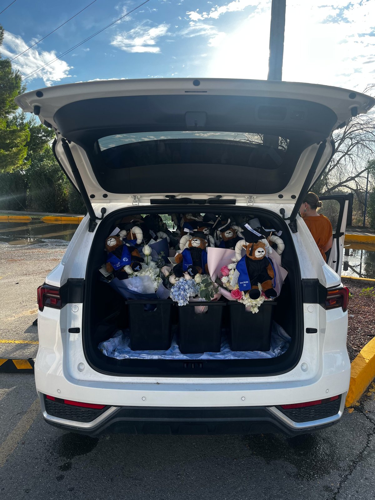 White car trunk packed with numerous plush toys and stuffed animals, with open hood against blue sky