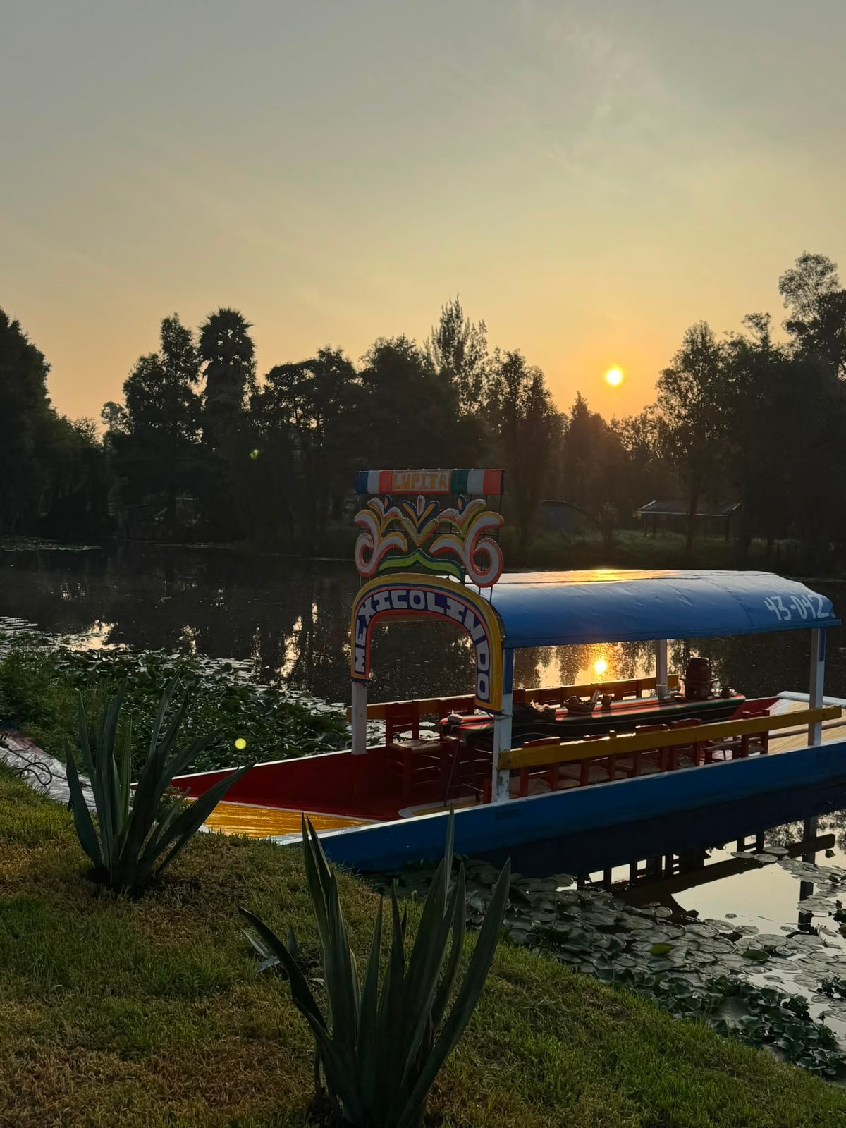 Trajinera colorida en el canal al atardecer con cielo dorado y árboles reflejados en el agua