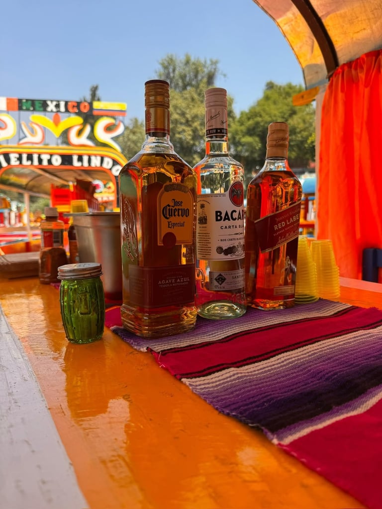 Paquete VIP (Barra Libre) — comida mexicana a bordo de trajinera