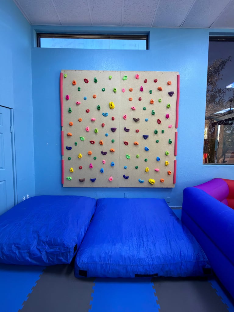 Indoor rock climbing wall with colorful holds mounted on a wall above blue padded floor mats in a gym or recreational facility