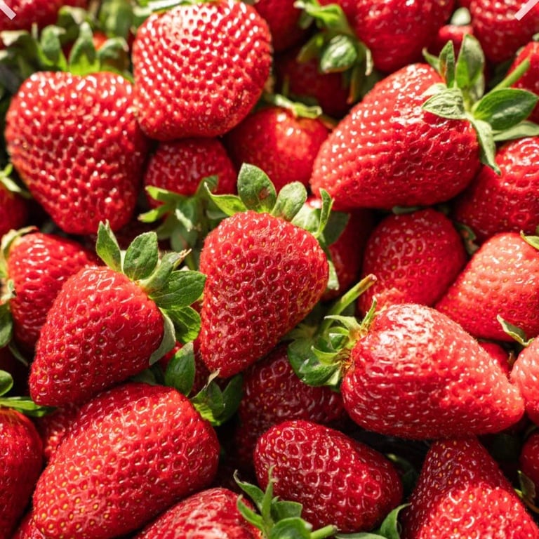 Close-up of fresh red strawberries with green stems and leafy crowns clustered together