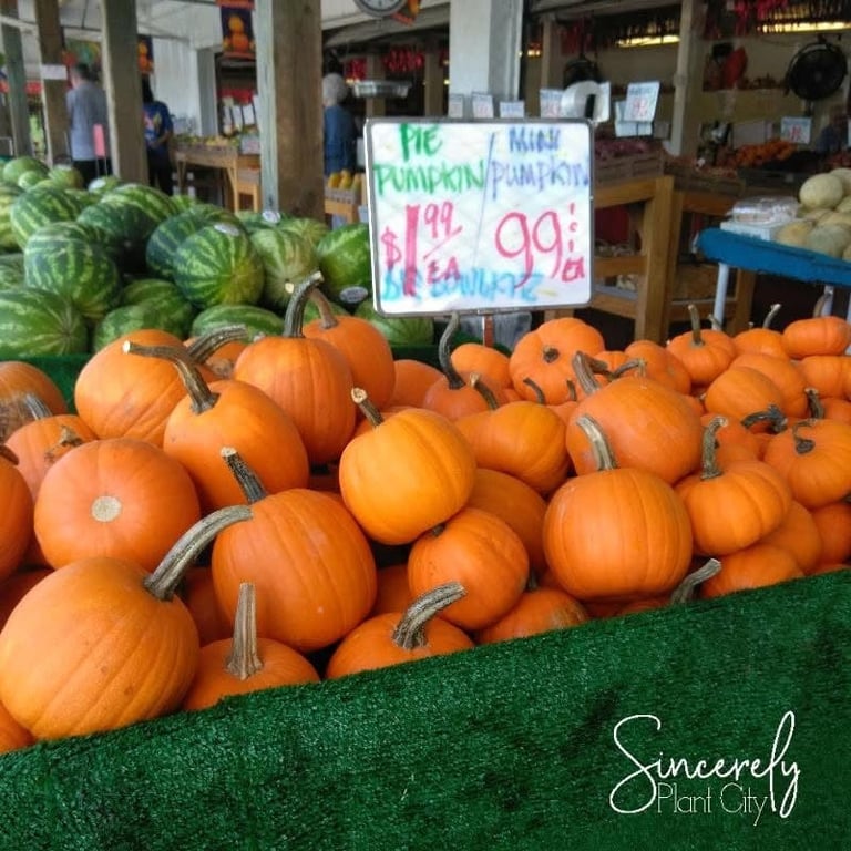 Outdoor farmers market display with orange pumpkins on green turf and green watermelons, with handwritten price sign