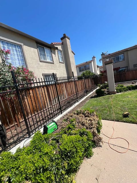 Residential house with black metal fence and green lawn on a sunny day