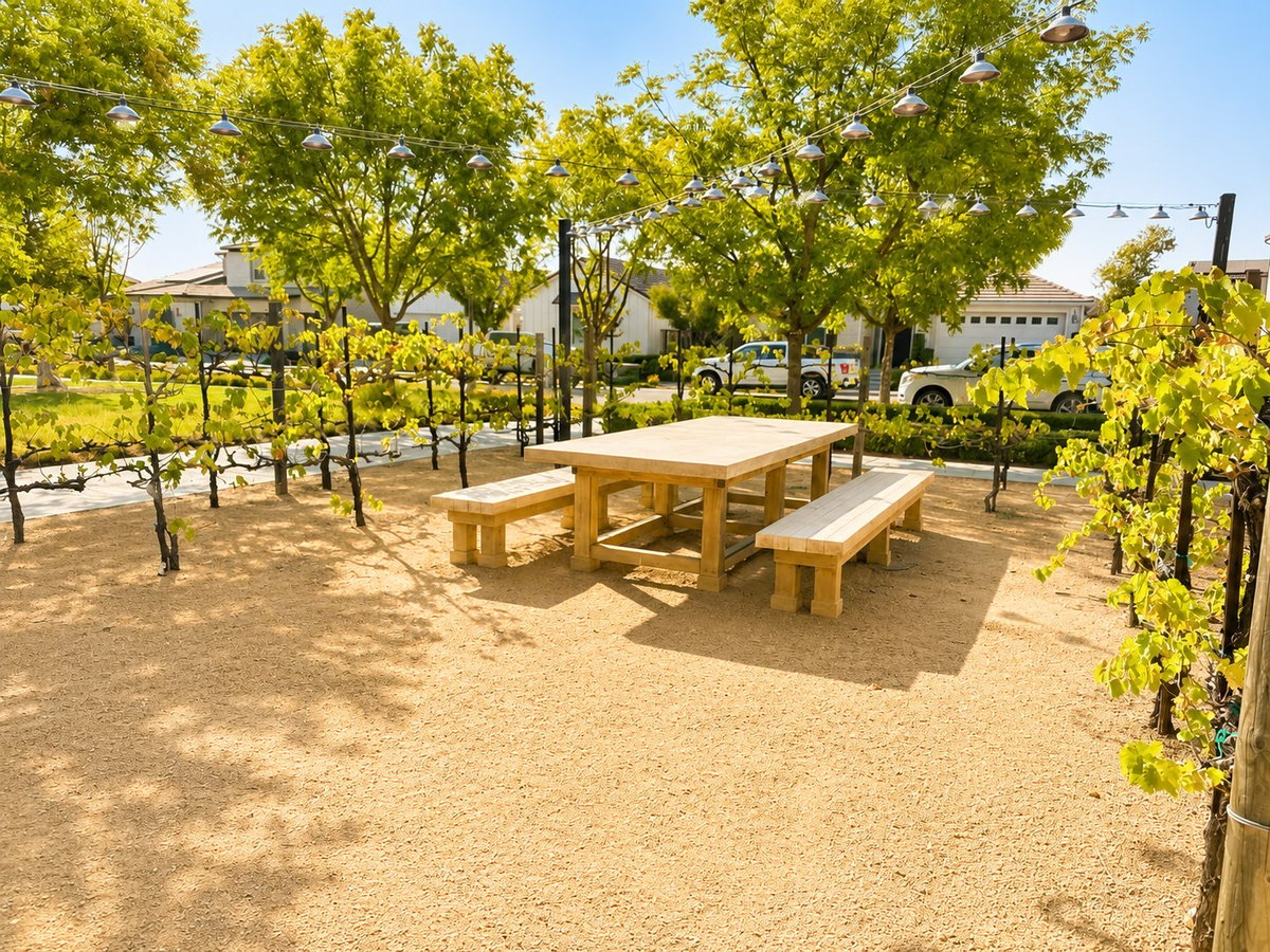 Wooden picnic table with benches in sunny park with young trees and gravel ground