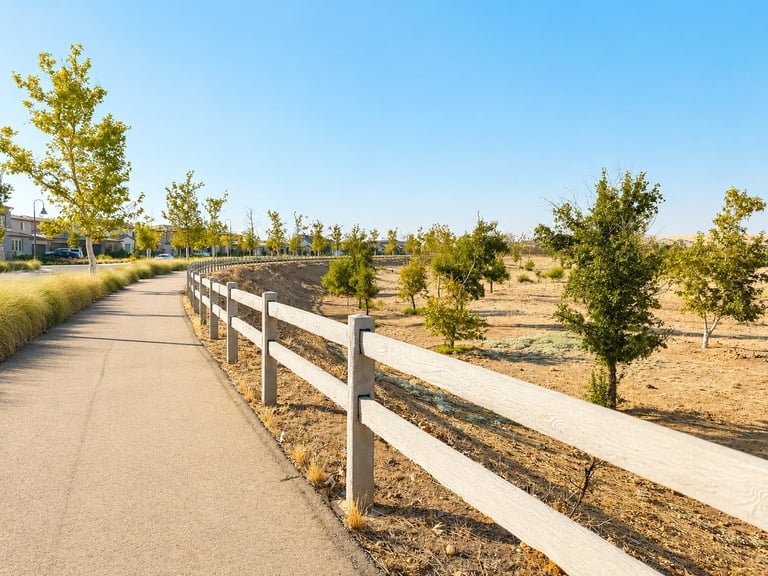 Paved pathway with white wooden railing bordered by young trees and dry grass under clear blue sky