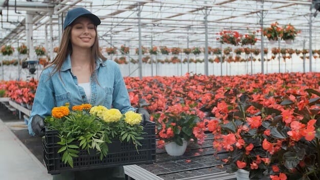Woman in denim shirt and cap holding yellow and orange flowers in a greenhouse filled with red blooms