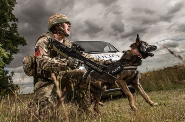 Armed police officer in camouflage uniform and helmet with tactical rifle alongside a police dog in a grassy field with vehicle and storm clouds in background