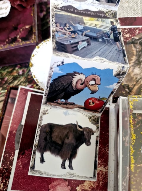 Collection of printed photos arranged on a patterned surface, including landscape, interior, cartoon bird character, and black yak animal images