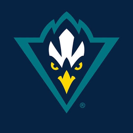 Jayhawks logo featuring a stylized bird head with white crest and yellow eyes inside a teal triangle on dark blue background