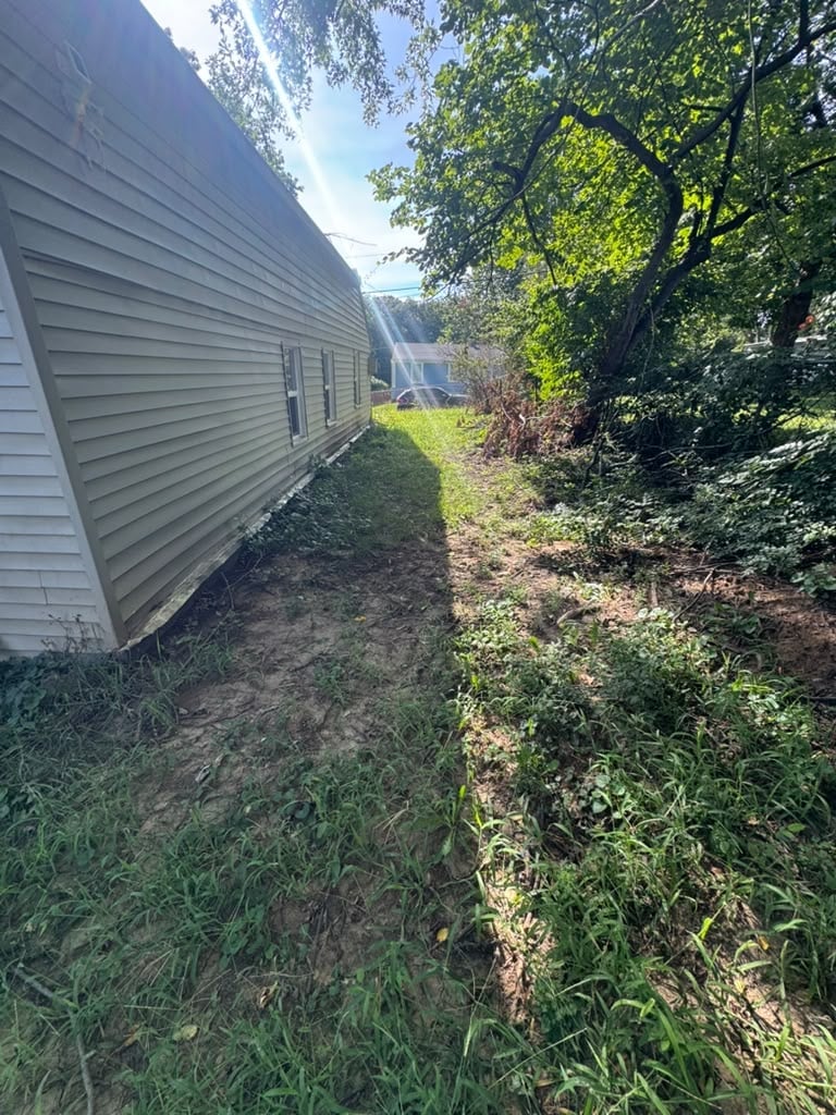 Narrow side yard between house with gray siding and dense overgrown vegetation and trees