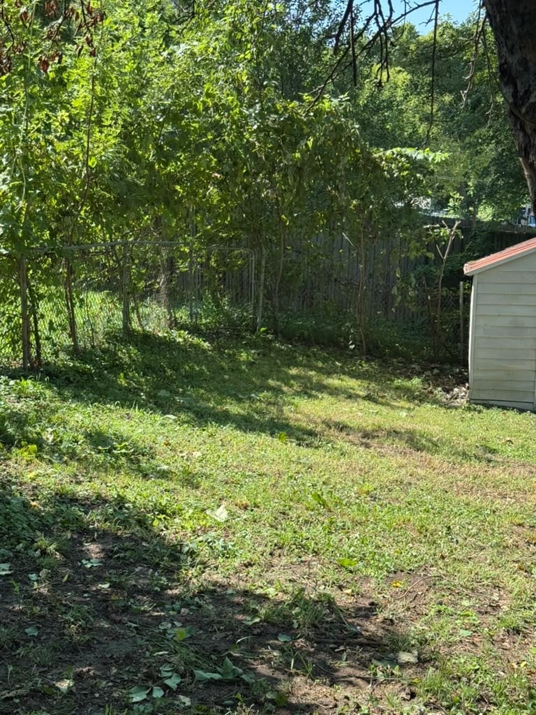 Grassy backyard with small shed surrounded by dense green trees and forest on a sunny day