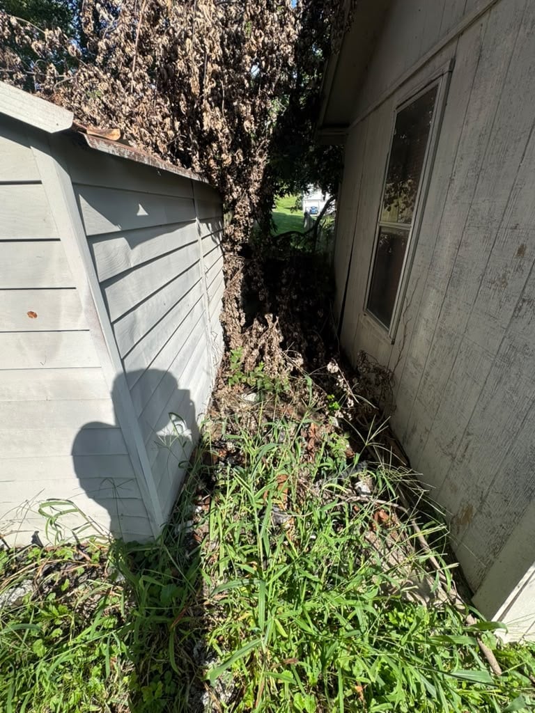 Narrow overgrown alleyway between garage door and weathered house wall, covered in weeds and ivy vines