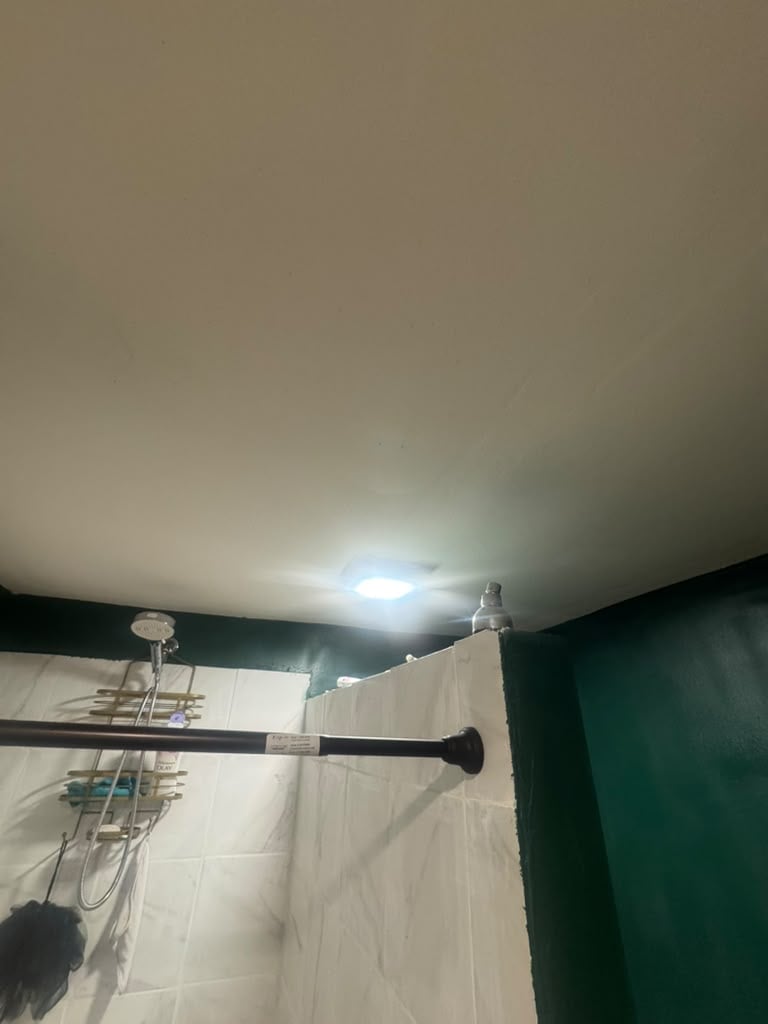 Bathroom shower enclosure with glass door, black rod, chrome fixtures, and green-tiled walls with recessed lighting