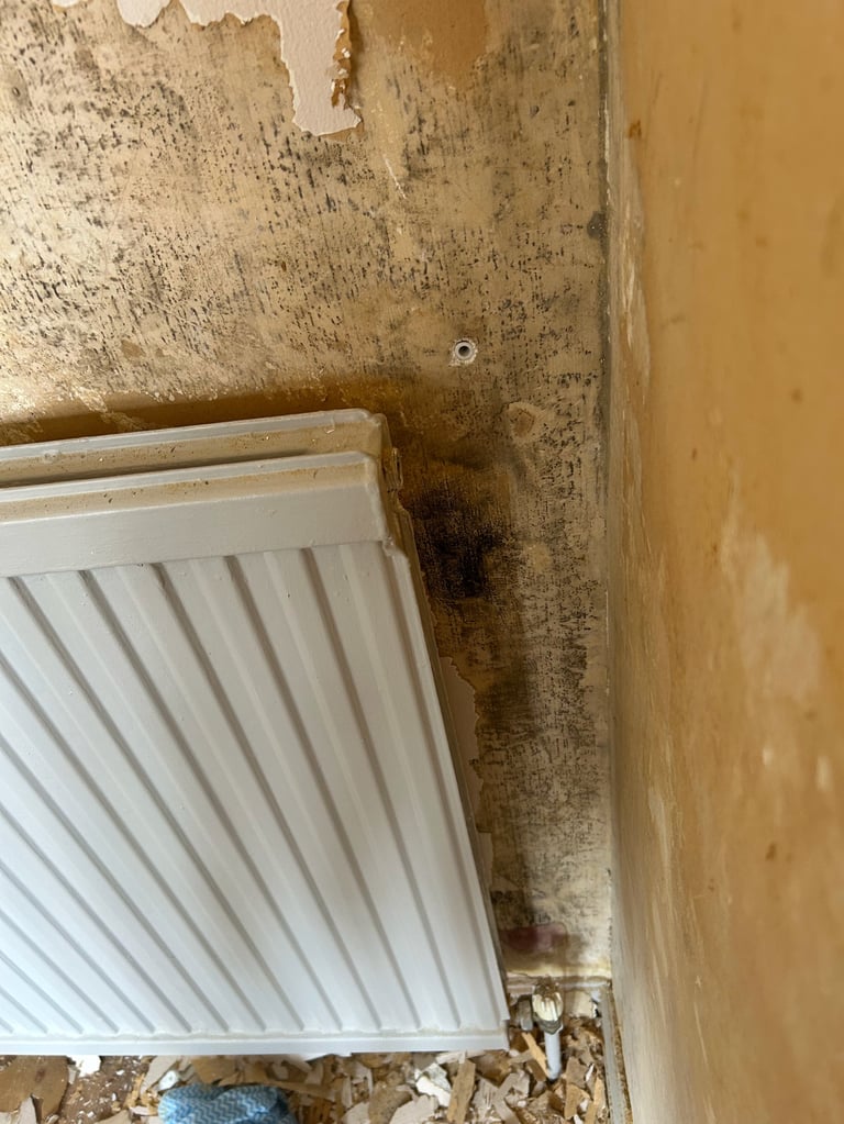 White wall-mounted radiator with mold and water damage on surrounding tan wall showing deterioration and dampness
