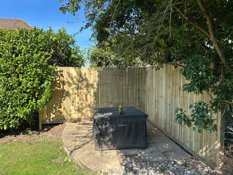 A dark covered grill sits in a paved backyard area enclosed by weathered wooden fencing and surrounded by green hedges and trees