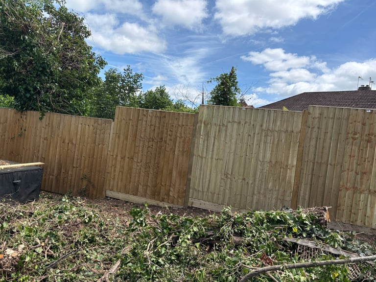 Wooden fence surrounding a backyard with overgrown vegetation and blue sky with clouds