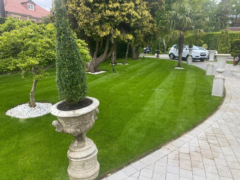 Well-manicured residential lawn with striped grass pattern, decorative urn planter with topiary, mature trees, and stone pathway leading to parked vehicles
