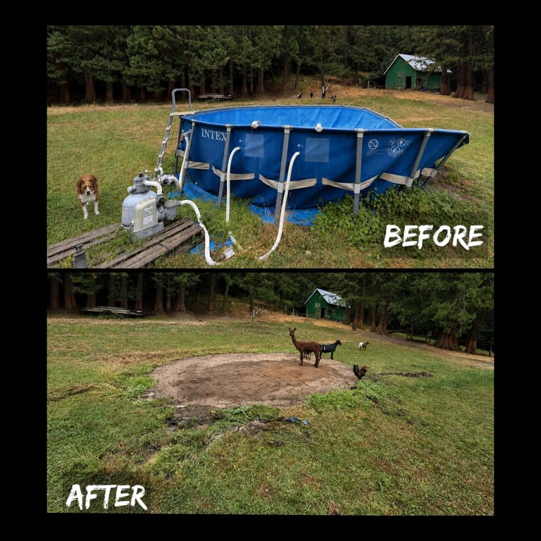 Above-Ground Pool Removal — Before & After