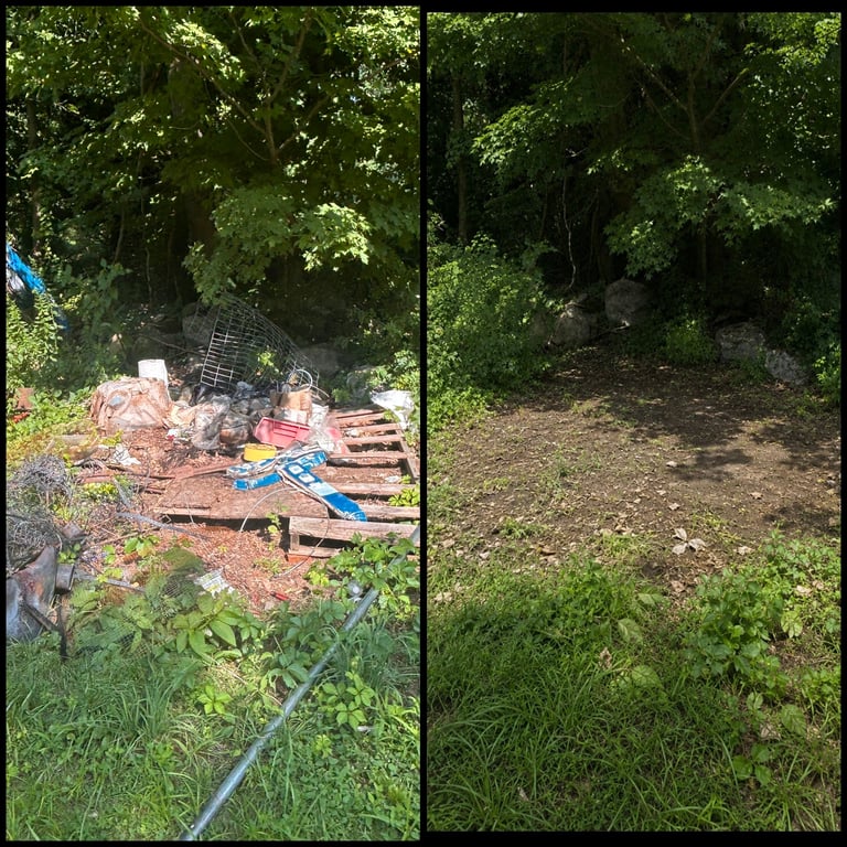 Forest Garden Clearance — Before & After