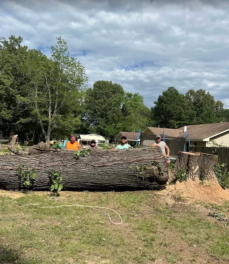 People working behind a large felled log in a residential yard with trees and buildings in the background
