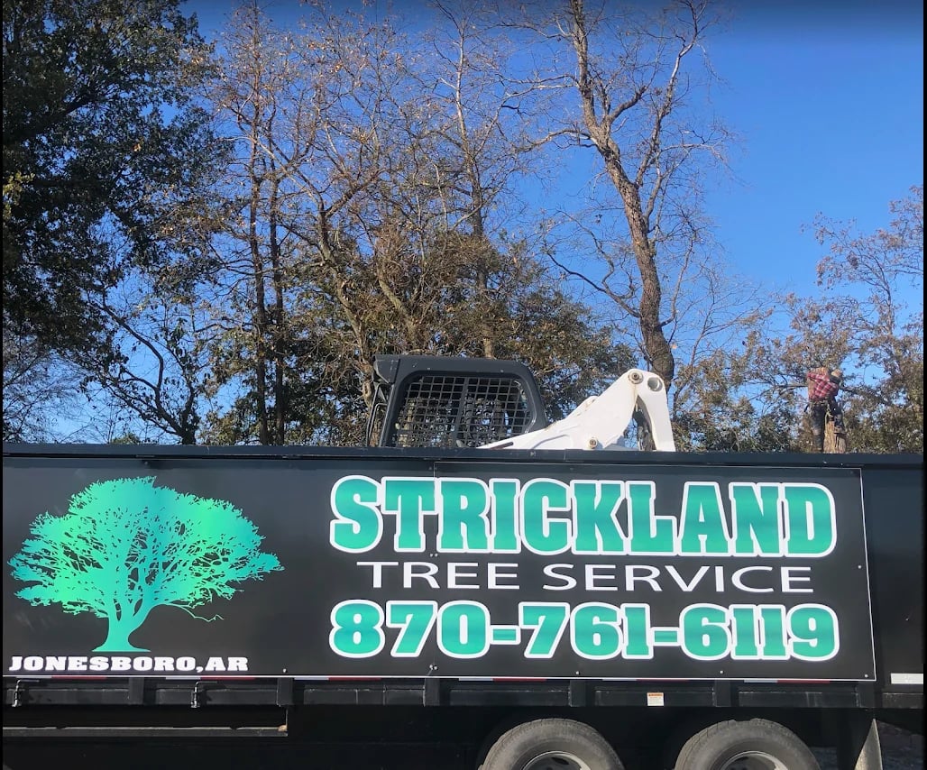 Strickland Tree Service utility truck with green tree logo and phone number, parked under bare and leafy trees