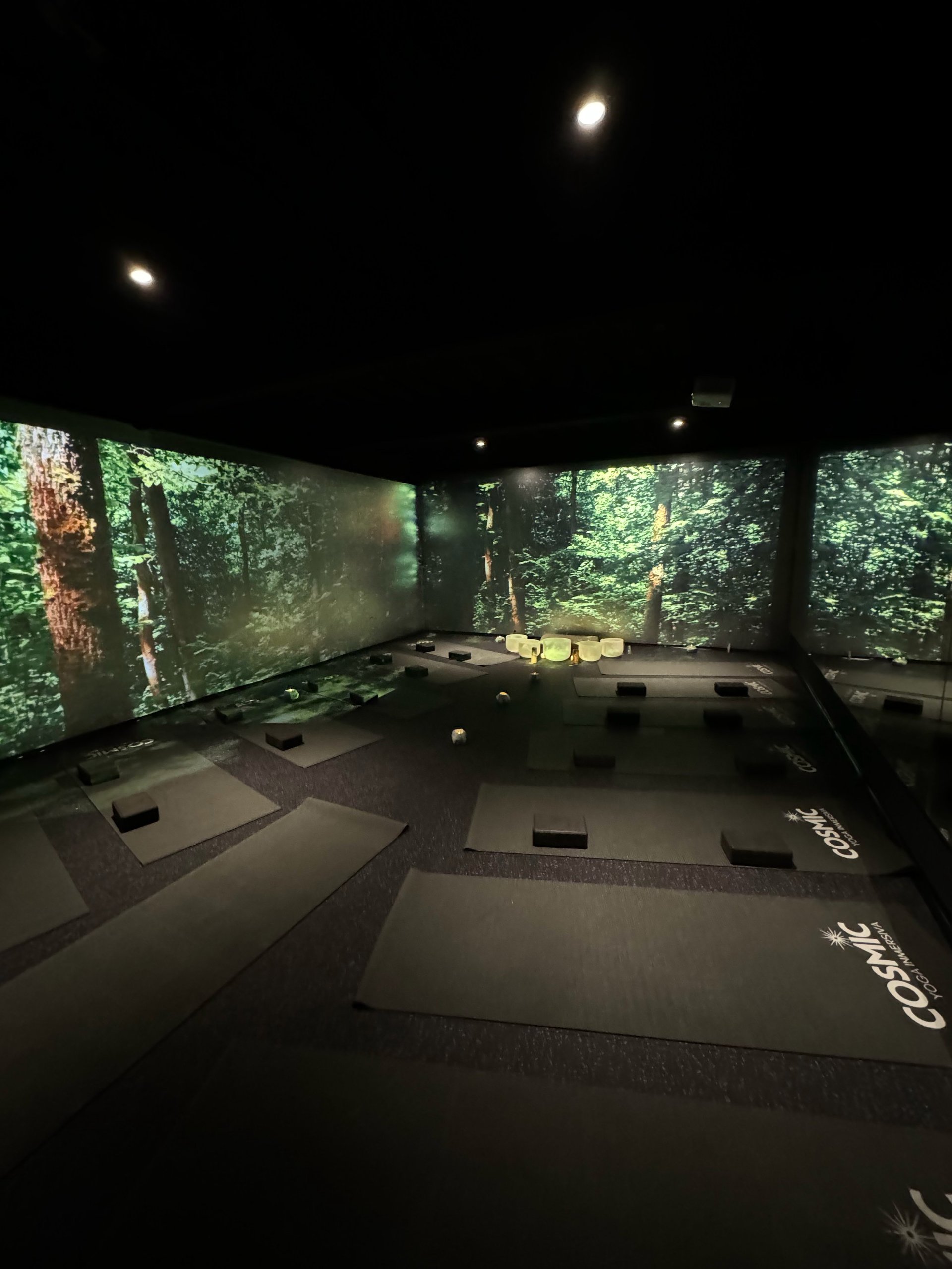 Immersive theater or cinema space with large screens displaying forest canopy, dark floor with cushioned seating areas, and ambient lighting