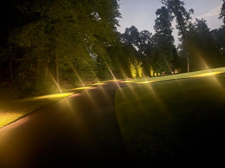 Tree-lined pathway illuminated by golden ground lights at dusk, creating a luminous walkway through a park or garden