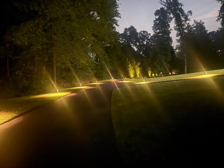 Nighttime path lined with yellow ground lights and tall trees leading into darkness