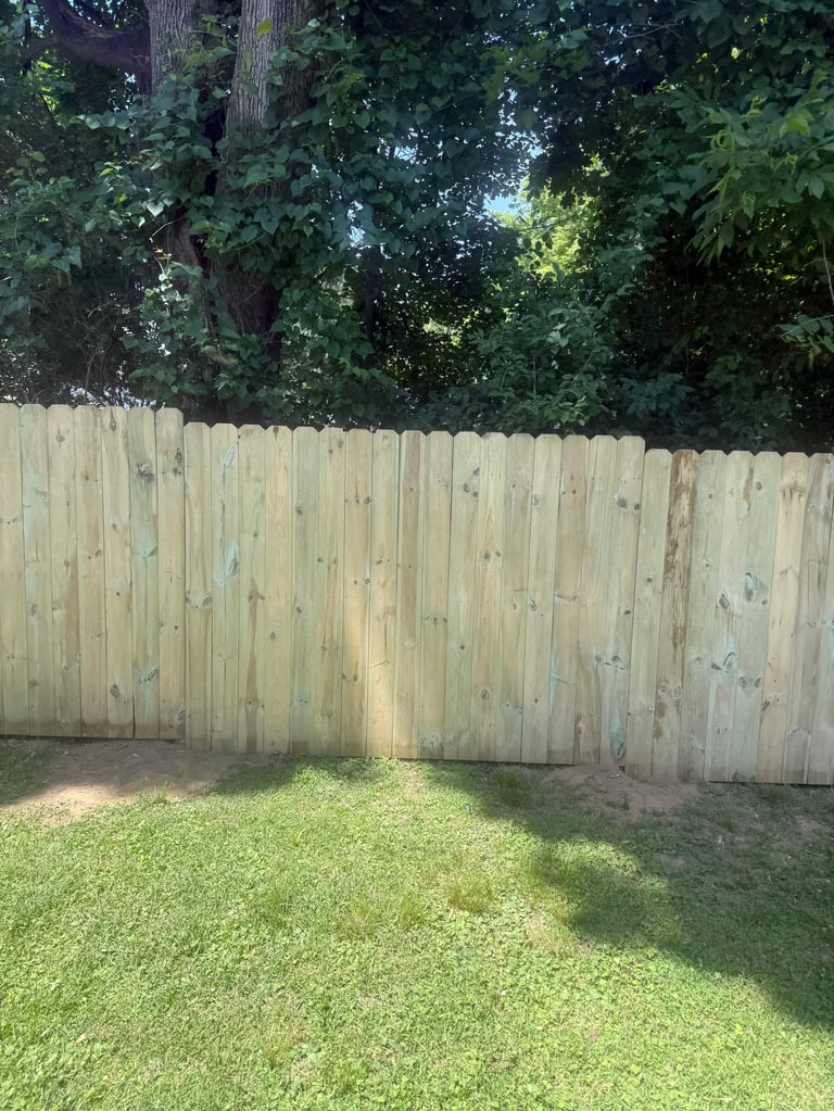 Backyard with wooden privacy fence, green lawn, and dense tree foliage in background