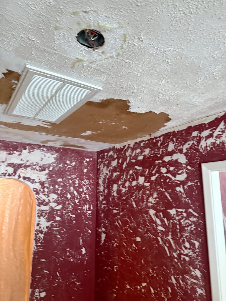 Water-damaged ceiling with peeling drywall and stained burgundy walls in a room, showing water stain damage and deteriorating plaster