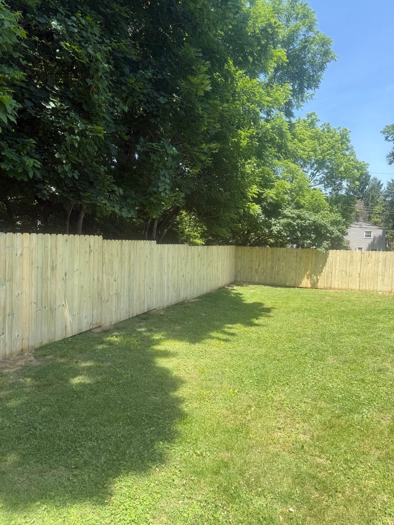 Empty fenced backyard with green grass and large trees in background under blue sky