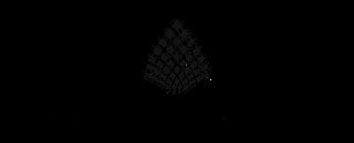 Sus Watch Company logo - water droplet icon with horizontal line