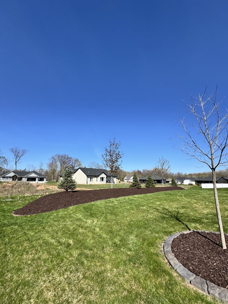 Suburban neighborhood with newly mulched landscaping beds, young trees, and white houses under clear blue sky