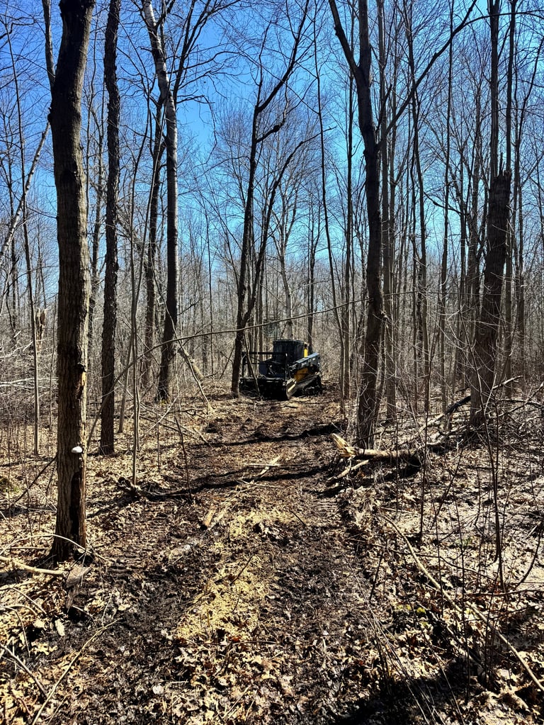 ATV riding through bare deciduous forest with leafless trees and brown ground covering in spring